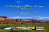 New Mexico Energy Efficiency Strategy: Policy Options · 2020-02-03 · New Mexico Energy Efficiency Strategy: Policy Options Howard Geller1 - Project Director Patti Case2, Steve