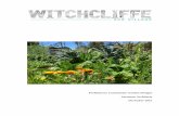 Community Garden Designs Amended Final Advertising... · fresh food produce,” and requires the Witchcliffe Ecovillage Structure Plan to provide ... m2 vegetable plot under intensive