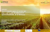 Presentación de PowerPoint · Oportunidades para el sector del vino y del aceite de oliva en el ... o Creación de empleo local en el campo. o Manteniendo el empleo industrial de