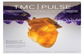 TMC Houston | Leader in Collaborative Medicine and Research - … · Pioneers of Regeneration A look at the great minds breaking new ground in stem cell research and regenerative