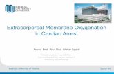 Extracorporeal membrane oxygenation in cardiac arrest. · Zangrillo A, Crit Care Resusc. 2013 Sep;15(3):172-8. • renal failure requiring haemofiltration 52% • bacterial pneumonia
