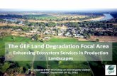 The GEF Land Degradation Focal Area · – Climate-resilient production systems (CC adaptation) – Options for household food security and income . Multifocal area projects . ...
