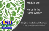 Module 19: Herbs in the Home Garden/media/system/5/5/6/4... · Module 19: Herbs in the Home Garden LSU AgCenter Home Gardening Certificate Course Dr. Joe Willis, Dr. Paula Barton-Willis,