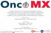 Aweb resource for exploring integrated cancer biomarker ...Dingerdissen... · •ISMB (at ITCR booth) •JCO manuscript submission (planned) •AMIA (submitted) •EDRN (planning