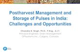 Postharvest Management and Storage of Pulses in India: …ipga.co.in/wp-content/uploads/2020/03/Postharvest... · 2020-03-19 · Safe Storage •‘Safe storage’ refers to the storage