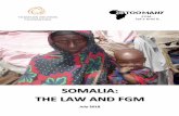 SOMALIA: THE LAW AND FGM · 2019-12-20 · 1 In Somalia, the prevalence of FGM in women aged 15–49 is 97.9%. The central and southern regions of the country have the highest prevalence,