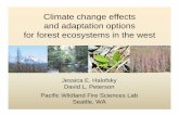 Climate change effects and adaptation options for …...Climate change effects and adaptation options for forest ecosystems in the west Jessica E. Halofsky David L. Peterson Pacific