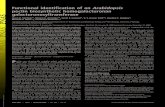 Functional identification of an Arabidopsis pectin ...Functional identification of an Arabidopsis pectin biosynthetic homogalacturonan galacturonosyltransferase Jason D. Sterling*†,