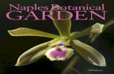 WINTER 2020 - Naples Botanical Garden€¦ · WINTER 2020 7 Orchid Fest 11 A Walk With Martha 13 Growing Their Influence 19 On the Front Lines 3 Dig Deeper 4 Naples Garden Club Speaker