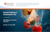 Societal Challenge 2 Dissemination Day · • Optimising aquaponics through the integration of innovative technologies such as a double water recirculation system & cooling traps