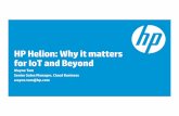 HP Helion: Why it matters for IoT and Beyond...accelerate innovation • Deploy applications on multiple deployment models • Enterprise-grade security • Visibility, control, and
