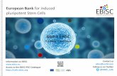 European Bank for induced pluripotent Stem Cells04 Poster_V05.indd 1 09.06.16 00:21 EBiSC: The Banking Process The EBiSC - European Bank for induced pluripotent Stem Cells project