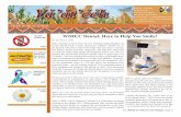 Y1’1t’44h WIHCC’s Health Promotion & Disease Prevention · 2019-10-07 · WIHCC Health Promotion & Disease Prevention | Y1’1t’44h Blue Corn Mush with Juniper Ash By Nora