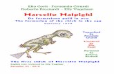 Elio Corti - Fernando Civardi Roberto Ricciardi â€“ Elly ... Marcello Malpighi very cordially greets