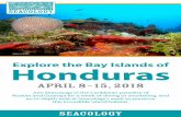 Explore the Bay Islands of Honduras - Seacology...Explore the Bay Islands of Honduras APRIL 8–15, 2018 Join Seacology in the Caribbean paradise of Roatán and Guanaja for a week