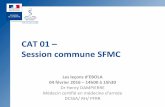 CAT 01 Session commune SFMC · 2017-02-14 · PARCOURS DE SOINS DU « SOIGNANT » AU PROFIT DE LA LUTTE CONTRE EBOLA Ambulance SSA FRA Centre de Traitement Ebola (CTE) Coordonnateur