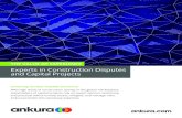 Experts in Construction Disputes and Capital Projects Final€¦ · Cost overruns, management controls, project delays, quality concerns, and changes in the scope of projects create