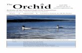 The Volume 66, No. 3 Orchid April 2020 peterboroughnature · Unfortunately no uncommon species like Iceland or Glaucous Gulls were seen, but it was a good start. As we made our way