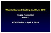 What is New and Exciting in AML in 2019 HagopKantarjian ...€¦ · SCT •IDH1-2mutations ... Median OS, years 2.19 2.15 1.2 0.9 .0006 Median EFS, years 0.75 0.81 0.49 0.25 .001