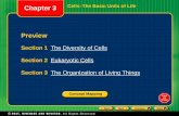 Chapter 3 Cells: The Basic Units of Life Preview · Section 2 Eukaryotic Cells Cell Wall • Some eukaryotic cells have cell walls. A cell wall is a rigid structure that gives support
