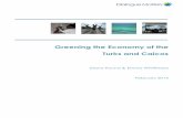 Greening the Economy of the Turks and Caicos€¦ · 3 The context for Greening the Economy 13 3.1 Greening the economy 13 3.2 Benefits a healthy environment provides 15 3.3 Systems