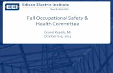 Fall Occupational Safety & Health Committee s/eeiFall2013/Monday.pdf · Institution of Occupational Safety and Health (IOSH) –A 501(c)3 not-for-profit organization launched in 2011