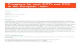 Prospects for coal, CCTs and CCS in the European Union for coal, CCTs... · Platform (ZEP), plus related major national (both government and private sector) RD&D CCT and CCS programmes