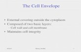 Cell wall and cell membrane - brazosport.edu … · The Cell Envelope •External covering outside the cytoplasm •Composed of two basic layers: –Cell wall and cell membrane •Maintains