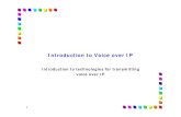Introduction to Voice over IP - polito.itnetgroup.polito.it/courses/Didattica/CNTS-TSR_slide/08a-voip-intro-e… · 7 The “telecom” perspective of VoIP: ToIP Using IP technologies