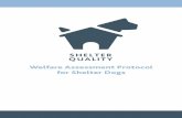 Welfare Assessment Protocol for Shelter Dogs · Shelter routine Since dogs have to be assessed while housed in their home pen, before planning your visit to the shelter check the