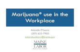 Marijuana use in the Workplace Marijuana Legalization. Recreational Marijuana Medical Marijuana. Maine