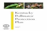 Kentucky Pollinator Protection PlanBee-pollinated crops account for 15-30 percent of the food we eat (USDA 2013). Beekeepers have suffered significant colony losses over the past decade,