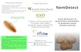 Plant parasitic nematodes? Project partners NemDetect · - root knot nematodes and potato cyst nematodes are at 1. and 2. place among top 10 high-impact plant parasitic nematodes