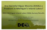 Are Harmful Algae Blooms (HABs) a Sarah Holden MWEA 2016.pdf · •Cyanobacteria (bluegreen algae) most widespread toxin-producing phytoplankton Harmful Algae Blooms • Cell densities