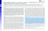 Bioengineering T cells to target carbohydrate to treat ... · Bioengineering T cells to target carbohydrate to treat opportunistic fungal infection Pappanaicken R. Kumaresana,1, Pallavi