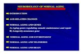 NORMAL AGING AND ENVIRONMENT NORMAL …Endocrine system Central Nervous System ALZHEIMER’S DISEASE NORMAL Aging Brain Three lines of evidence indicate that aging is governed by genetic