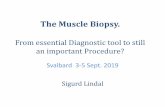 The Muscle Biopsy. -sentre og... · 2019-09-17 · Muscle biopsy and the future? B Schoser Conclusion: Next- generation sequencing (NGS) and the clinical exome/genome approach combined