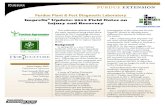 Purdue Plant & Pest Diagnostic Laboratory · Imprelis® Update: 2012 Field Notes on Injury and Recovery Aaron Patton, PhD, Department of Agronomy Tom Creswell, PhD and Gail Ruhl,