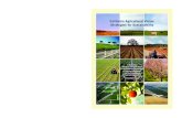 California Agricultural Vision: Strategies for Sustainability · 2019-10-11 · CALIFORNIA AGRICULTURAL VISION: STRATEGIES FOR SUSTAINABILITY 4 Executive Summary California agriculture