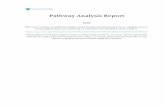 Pathway Analysis Report - Gene - HSLSfiles.hsls.pitt.edu/files/molbio/Reactome_report.pdfCollagen degradation 7 / 76 0.004 0.022 0.966 12 / 34 0.003 FOXO-mediated transcription of