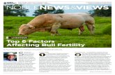 Top 6 Factors Affecting Bull Fertility · in a fertility train wreck, especially in single sire pastures. Problems with the bull during the breeding season are oftentimes not detected