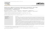 Salivary gland transcriptome analysis during Plasmodium ... · Salivary gland transcriptome analysis during Plasmodium infection in malaria vector Anopheles stephensi Rajnikant Dixita,*,