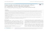 Celecoxib enhances anticancer effect of cisplatin and induces anoikis … · 2017-04-11 · Liu et al. Cancer Cell Int DOI 10.1186/s12935-016-0378-2 PRIMARY RESEARCH Celecoxib enhances