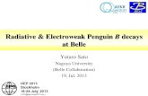 Radiative & Electroweak Penguin B decays at Belle...2013/07/19  · Contents Radiative penguin B decay (b sg) • Search for B0 p𝛬 p-g Electroweak penguin B decay (b sl+l-) •