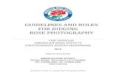 Guidelines and Rules for Judging Roses · Guidelines & Rules For Judging Rose Photography (9/2015) DISCLAIMER Many aspects of this manual are repeated from the Guidelines & Rules