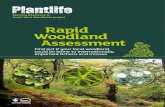Building Resilience in South West Woodlands …...Building Resilience in South West Woodlands project, which focuses on conserving the region’s Atlantic woodlands. These woodlands