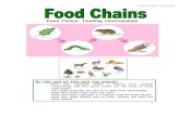 Food Chains, Feeding relationships - WordPress.com · Grade 5, UnitL.3, Food Chains 1 Food Chains, Feeding relationships By the end of this unit you should: Know that organisms within