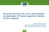 Overall picture of oral vaccination campaigns of foxes against … · 2019-11-01 · Overall picture of oral vaccination campaigns of foxes against rabies in the region Pedro Rosado