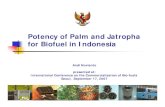 Potency of Palm and Jatropha for Biofuel in Indonesia · 2020-04-04 · and Jatropha as feedstock in Indonesia. 2. Palm and Jatropha are priority commodities to be developed as biofuel-biodiesel