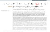 Gene Therapy Restores Mfrp and Corrects Axial Eye Length€¦ · These analyses showed gene therapy restored retinal function and normalized axial length. Proteomic analysis of RPE